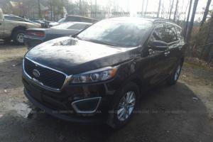 Что нужно для сертификации авто из США
