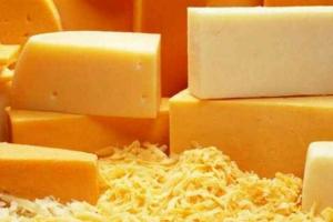 Выбираем твердый сыр в «Метро»: вкусно и полезно