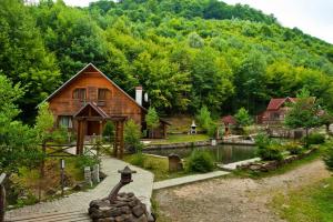 Відпочинок в Закарпатті: цікаві ідеї