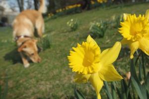 Погода в Киеве на сегодня – точный прогноз для столицы