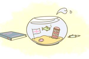 Полное погружение в английский по интерактивной методике обучения