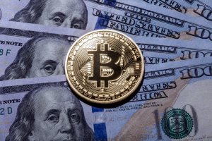 1 биткоин в долларах США: аналитика стоимости