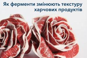 Злиття науки і кулінарії: Як ферменти змінюють текстуру харчових продуктів