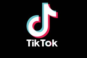 TikMate: ваш надежный инструмент для скачивания видео с TikTok