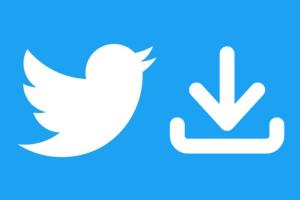 Як завантажити відео з Twitter безкоштовно: sssx.io