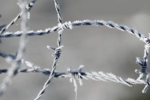 прокуратура змогла змогли довести причетність до катувань керівництва колонії