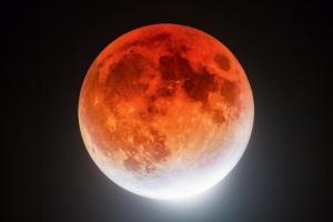 Бобровая Луна