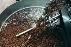 Киевская Городская Ростерия