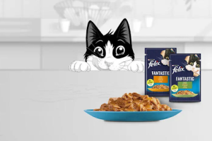 Корм «Фелікс» від «Пуріна»