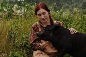 історія кабана Гудочка з Буковини