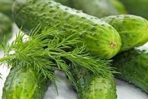 Выращиваем огурцы