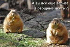Мифы о диетах