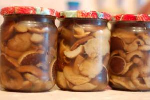 Консервированные маслята