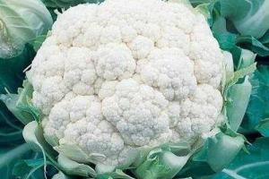 Цветная капуста квашеная