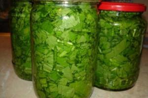 Щавель соленый