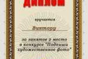 Диплом за занятое второе место в конкурсе "Подпиши художественное фото". Поздравляем!