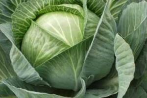 Какие продукты очищают организм
