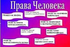 Юристы призвали не оставлять случаи нарушения прав человека без внимания