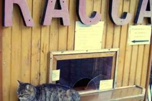 Задолженность по заработной плате одного из предприятий Николаева составляет более 900 тысяч гривен