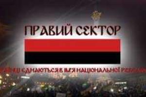 «Правый сектор» не армия и не террористическая организация - Луценко