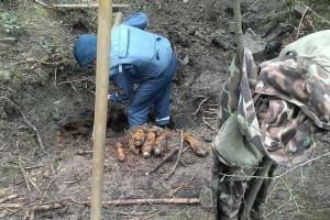 500 мин времен Второй мировой войны нашли в Закарпатской области