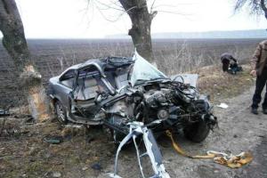 Водитель «BMW» погиб, врезавшись в дерево, на Житомирщине 