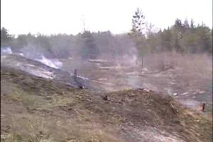 Огнеборцы предотвратили возникновение пожара в лесном массиве