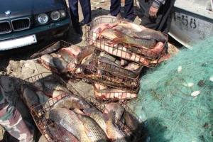 В Одесской области браконьеров, которые незаконно выловили 265 килограммов рыбы