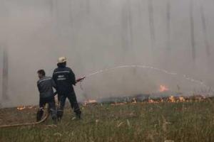 В Луганской области горело лесоохотничье хозяйство общей площадью 31 га