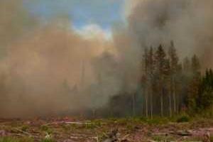 Под Петербургом, на складе, где хранилось списанное военное имущество, произошел пожар