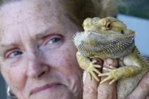 Чтобы спасти ящерицу, женщина сделала ей искусственное дыхание