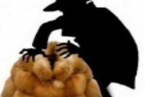 В Первомайске уголовники продают дорогие шубы за 500 грн.