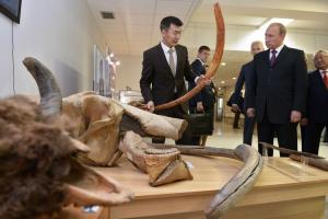 Путин заинтересовался клонированием мамонтов