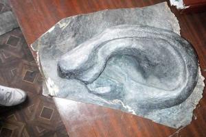 Харьковчане предложили Кернесу выкупить нос Ленина