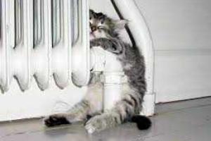 Дома украинцев зимой будут отапливать мазутом 