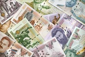 В сети появилось фото денег "Новороссии"