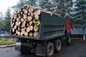 В Иршаве задержали грузовик с лесом