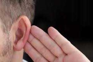 В ухе американца «жили» клещ и моль