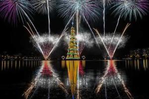 Самая высокая в мире плавучая елка зажглась в Бразилии