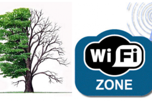 Ученые считают, что Wi-Fi-излучение может вызвать паралич