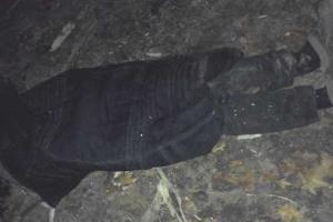 В Ровенской области дерево смертельно травмировало человека