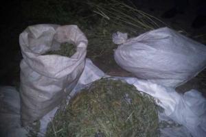 В Ровно у местного жителя изъяли 4 кг марихуаны