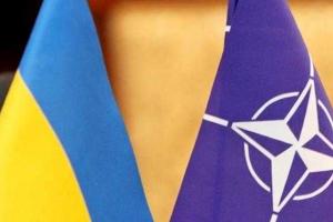 Участники коалиции договорились о вступлении Украины в НАТО