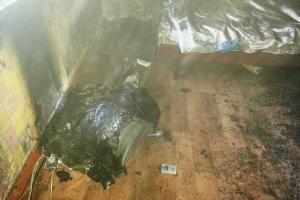Во время пожара в Запорожской области огнеборцы спасли мужчину