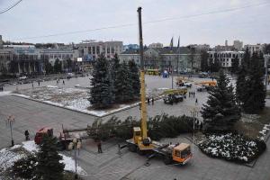 25-метровую елку привезли в Ровно