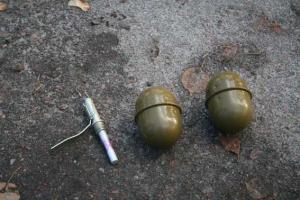В городском парке на Черниговщине нашли гранату, похожую на боевую
