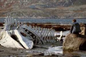 Российская лента впервые получила "Золотой глобус"