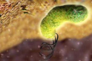 Бактерии помогают детям и уничтожают стариков