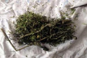 Житель Красноармейска за хранение наркотиков может угодить за решетку на три года