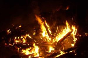 В Радомышльском районе в пожаре погиб мужчина